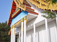 -报恩禅寺