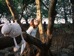 -宝安西湾红树林湿地公园