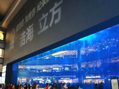 -成都浩海立方海洋公园