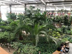 -南宫五洲植物乐园