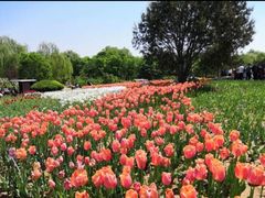 -石家庄市植物园