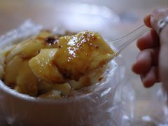 -共和老洪豆花草粿水粿