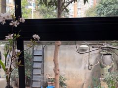 -宝翠花园餐厅(沙湖店)