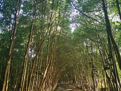 景点-艾溪湖湿地公园