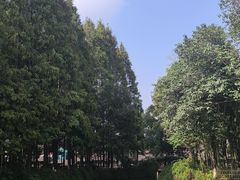 -乌镇景区