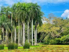 -中国科学院西双版纳热带植物园