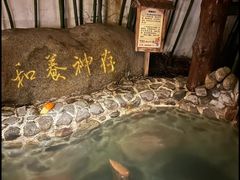 -观唐（国际）度假村温泉