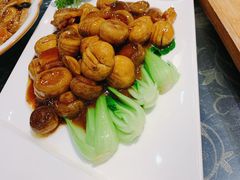 -梁溪河畔·吉府花园(南长街南下塘店)