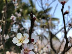 -紫霞湖公园