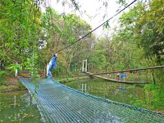 -溱湖国家湿地公园