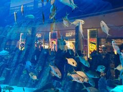 -迪拜水族馆及水下动物园