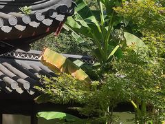 -汇龙潭