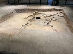 -洛阳周王城天子驾六博物馆