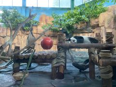 -泉州海丝野生动物世界