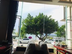 -野菌皇海景野生菌火锅(滨海大道店)