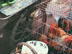 -清真·宏顺祥卤汁凉粉(大皮院店)