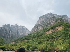 -云台山风景名胜区