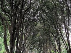 -柳侯公园