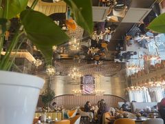 -巴依老爷新疆美食(清华东门店)