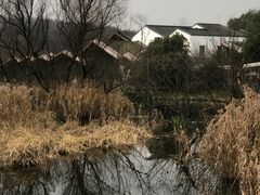 -西湖风景区-江洋畈生态公园