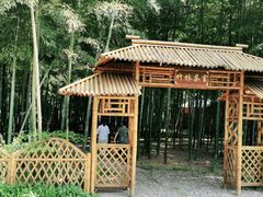 -龙寺生态园
