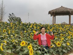 -小乡小镇·传承桐庐土菜·老板亲自烧的菜