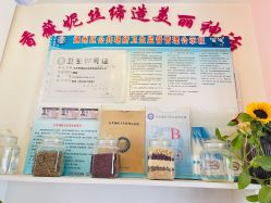 -香薇妮丝·定制减肥·身材管理