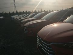 -比亚迪上海弘仁4S(杨浦店)