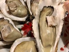 蒸汽韩国生蚝-辉记炭烧海鲜大排档·老字号(福田店)