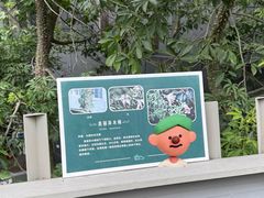 景点-福道