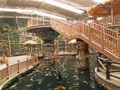 -南宫五洲植物乐园