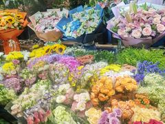 -朝来春花卉市场