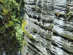 -梭布垭石林景区