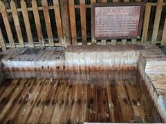 -金孔雀温泉旅游度假村