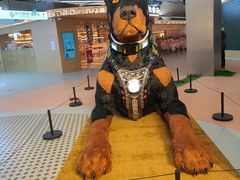 -光启城时尚购物中心