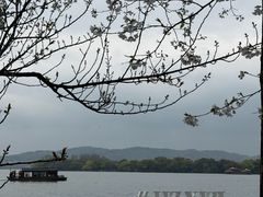 -浙江西子宾馆·牡丹厅