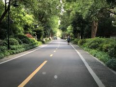 -西溪国家湿地公园