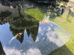 -龙口南山旅游景区