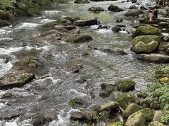 -广州市石门国家森林公园