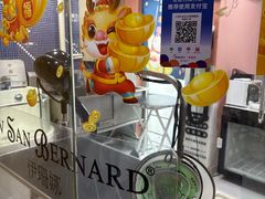 -车接车送·寄养洗护·德文猫舍(大宁店)