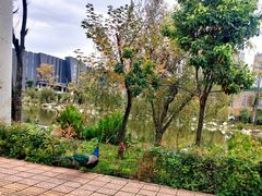 -云南艺术学院(呈贡校区)