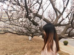 -大连外国语大学(旅顺校区)