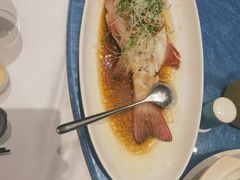 蒸鱼-圆苑(静安寺店)