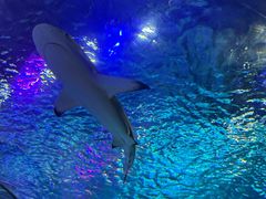 -沈阳海洋探索中心