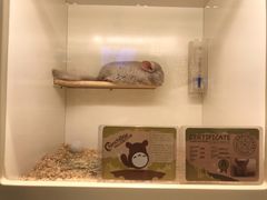 -龙猫仔乐园(惠福东路店)