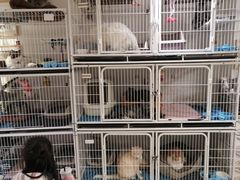 -小时光咖啡馆(北锣鼓巷店)