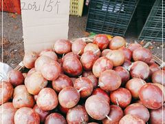 -红星农博物流中心