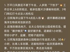 -日照灯塔风景区