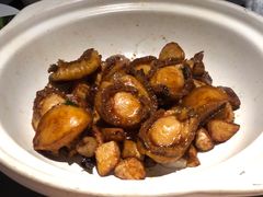 砂锅鲍鱼仔-徐记海鲜(汉城湖|太奥店)