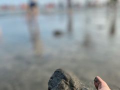 -台山黑沙湾海浴场